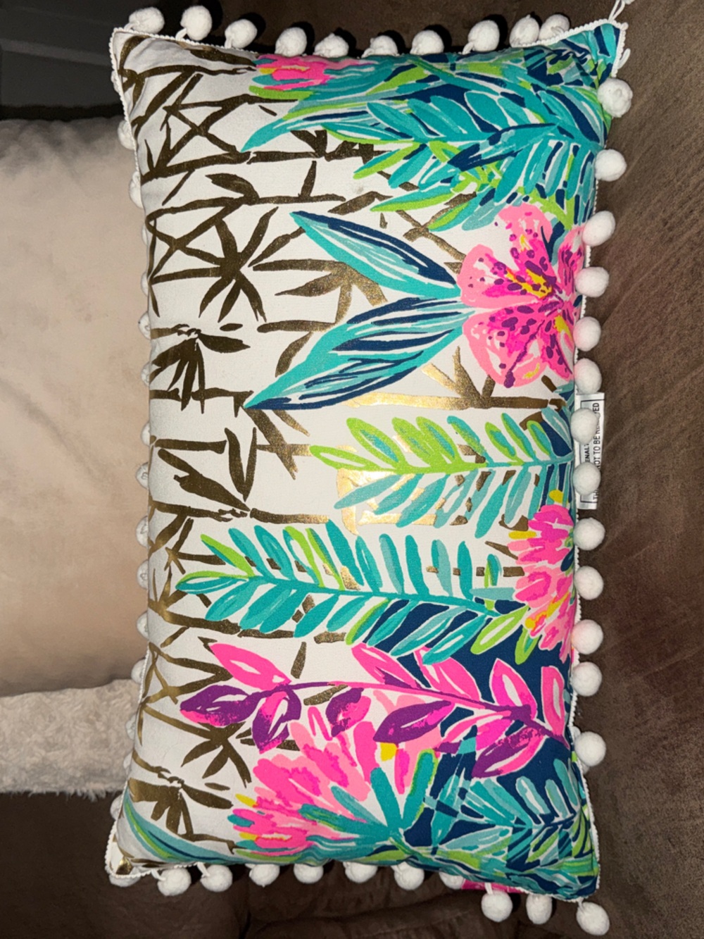 Reversible Lily Pulitzer pillow
